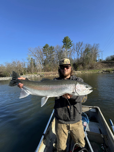 Trout on the line, Lake Michigan